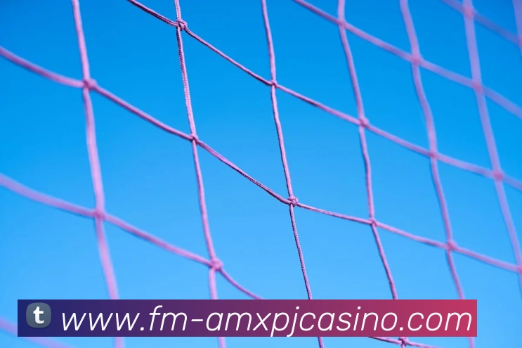 新葡京娱乐发展历程